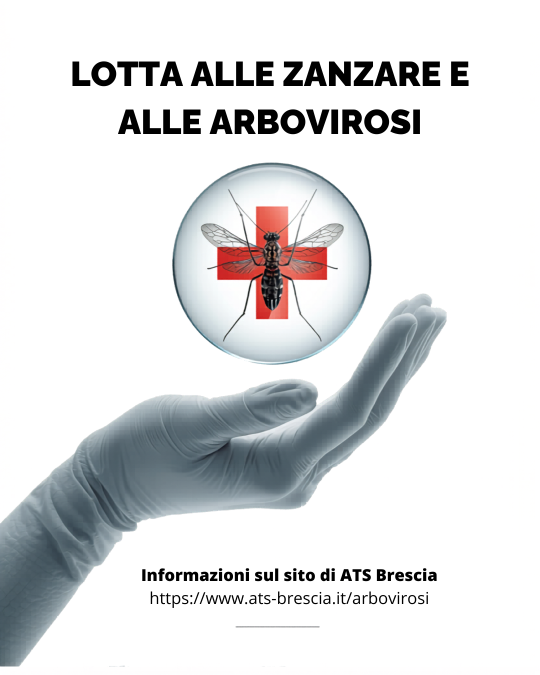 Lotta alle zanzare e alle arbovirosi