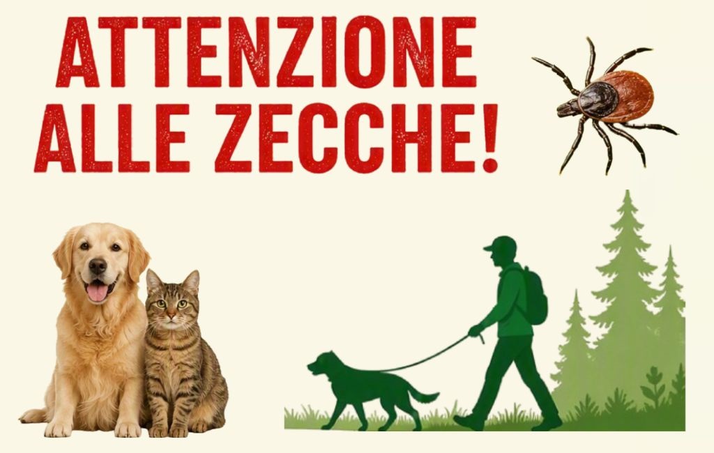 Locandina Informativa_attenzione alle zecche